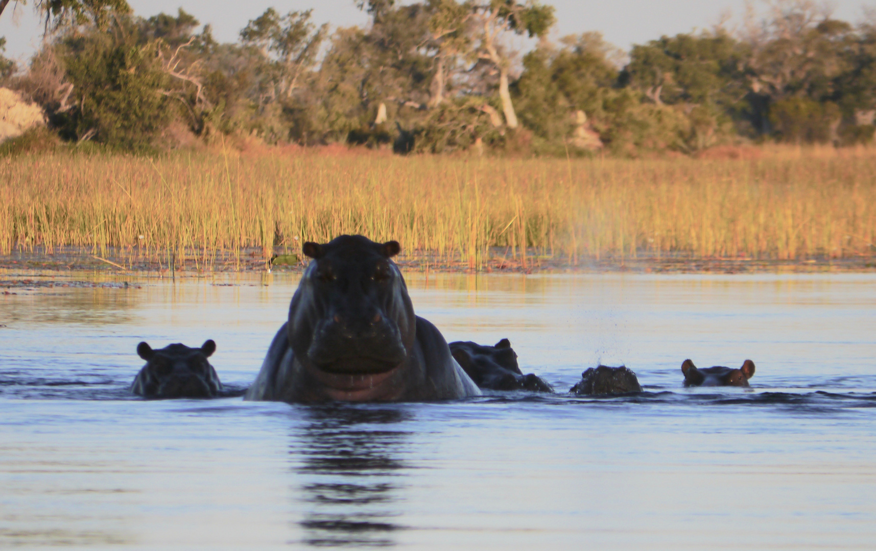 Abenstimmung Botswana