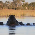 Abenstimmung Botswana