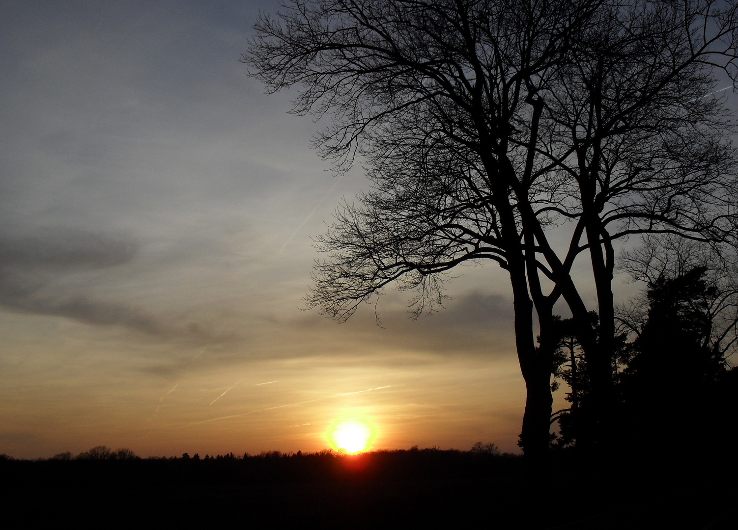 Abenstimmung im Spreewald