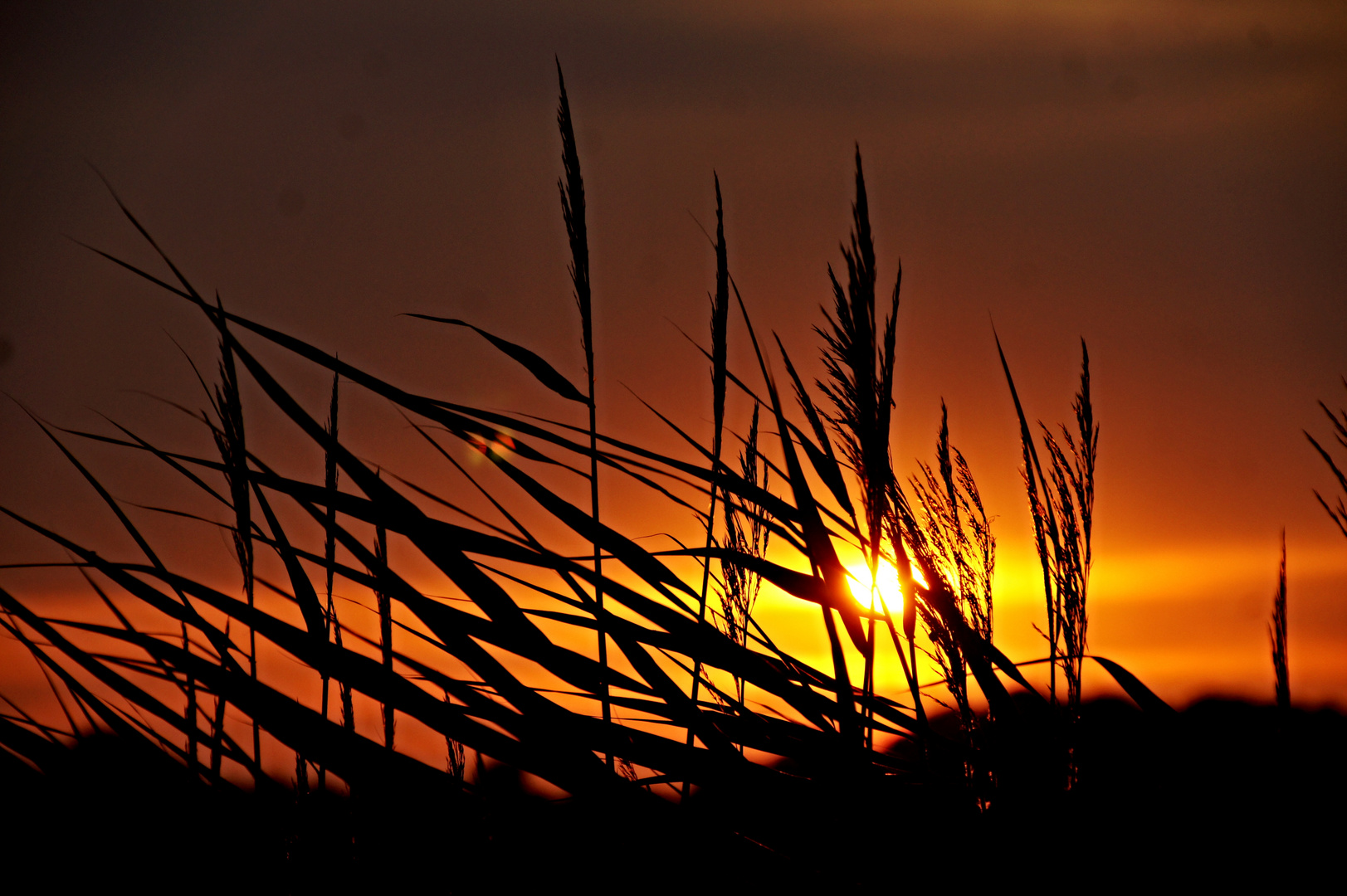 Abenstimmung in Schillig