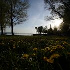 Abenstimmung in Wasserburg am Bodensee