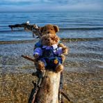 Abenteuer am Strand