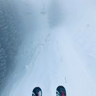 Abenteuer im Nebel