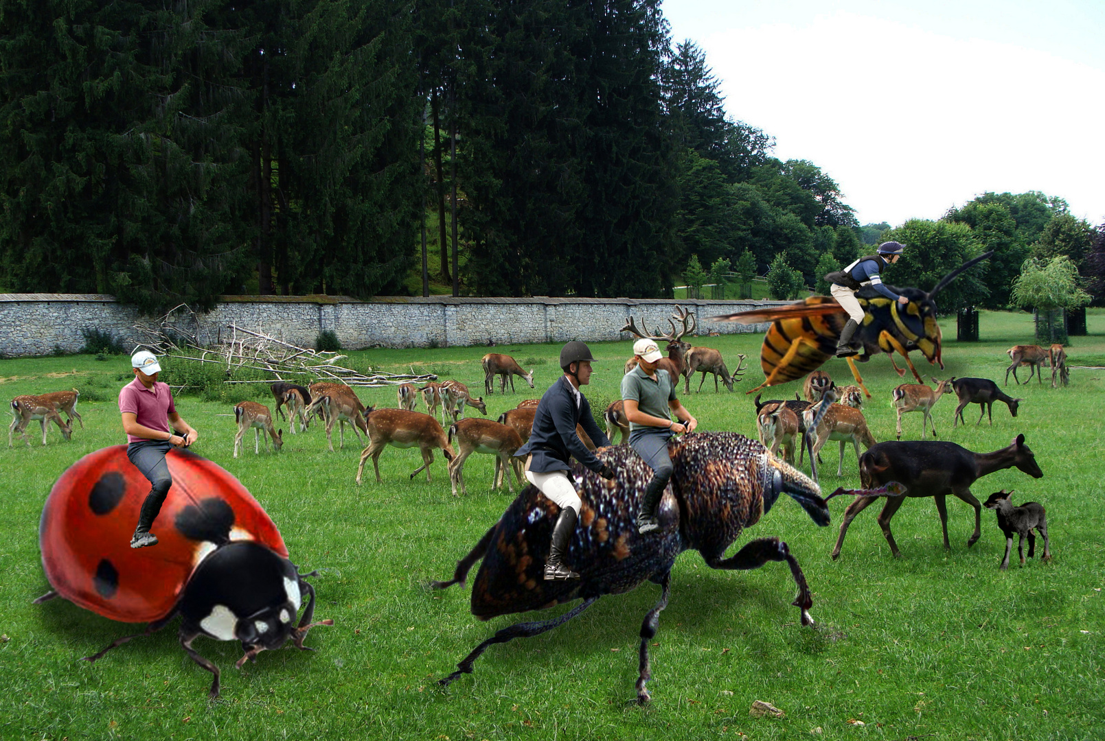 Abenteuer im Tierpark