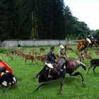 Abenteuer im Tierpark