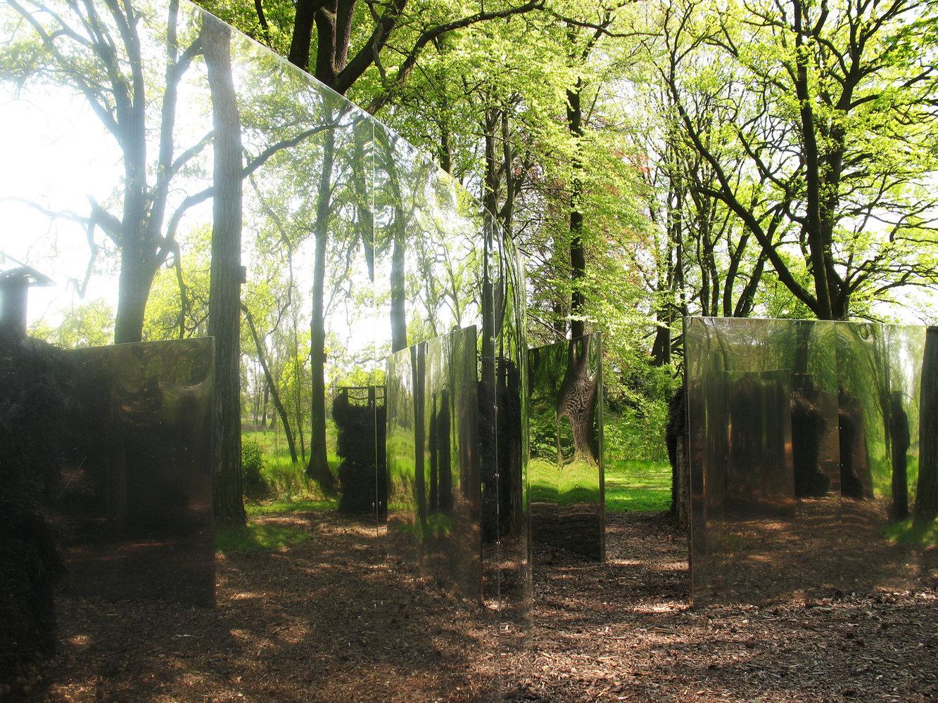 Abenteuer im Zauberwald