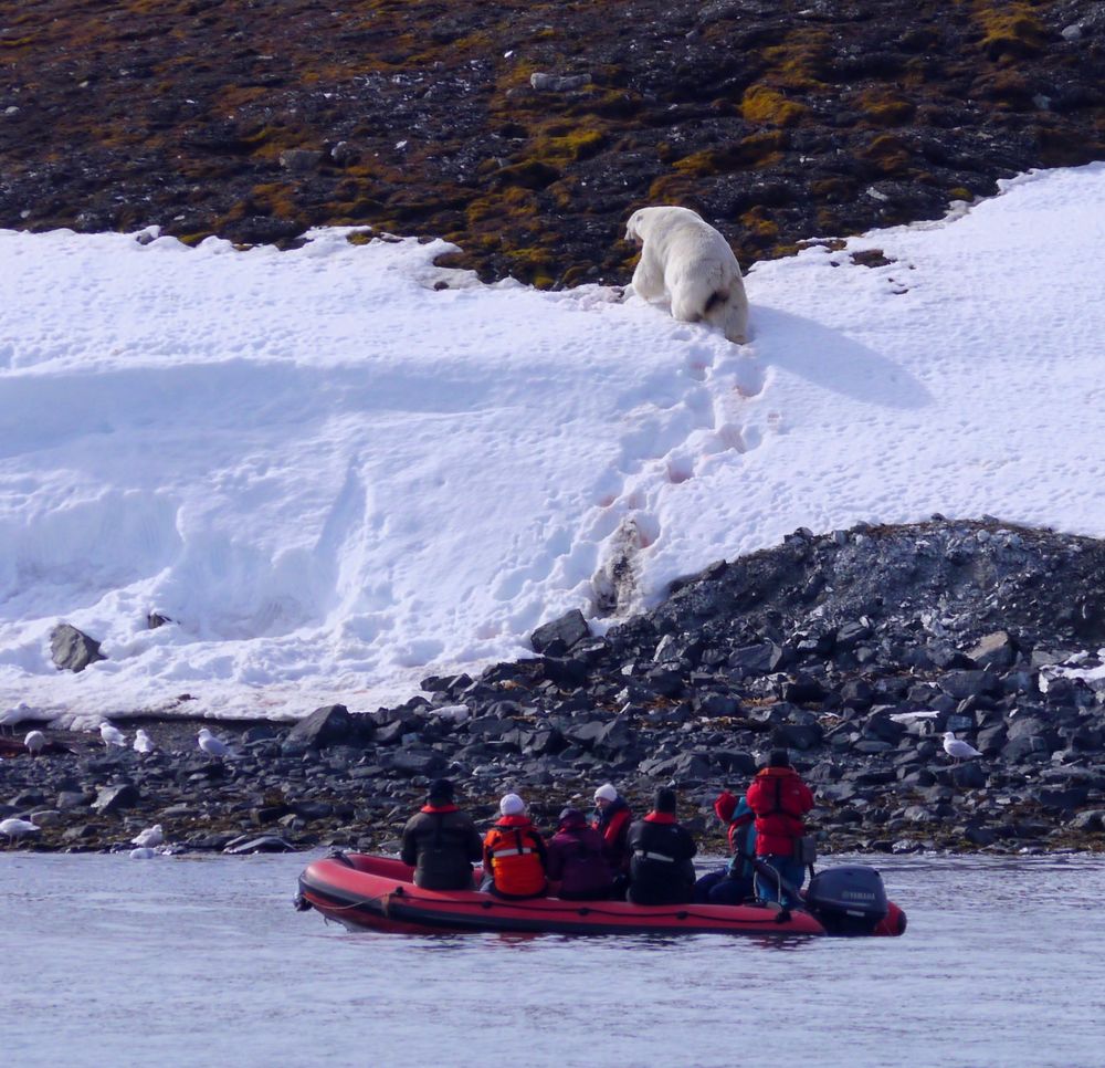 Abenteuer Spitzbergen