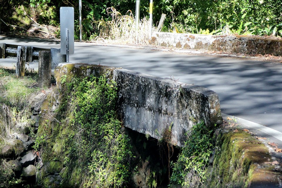 Abenteuerfahrt auf Hawaii  / Road to Hana