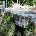 Abenteuerfahrt auf Hawaii  / Road to Hana