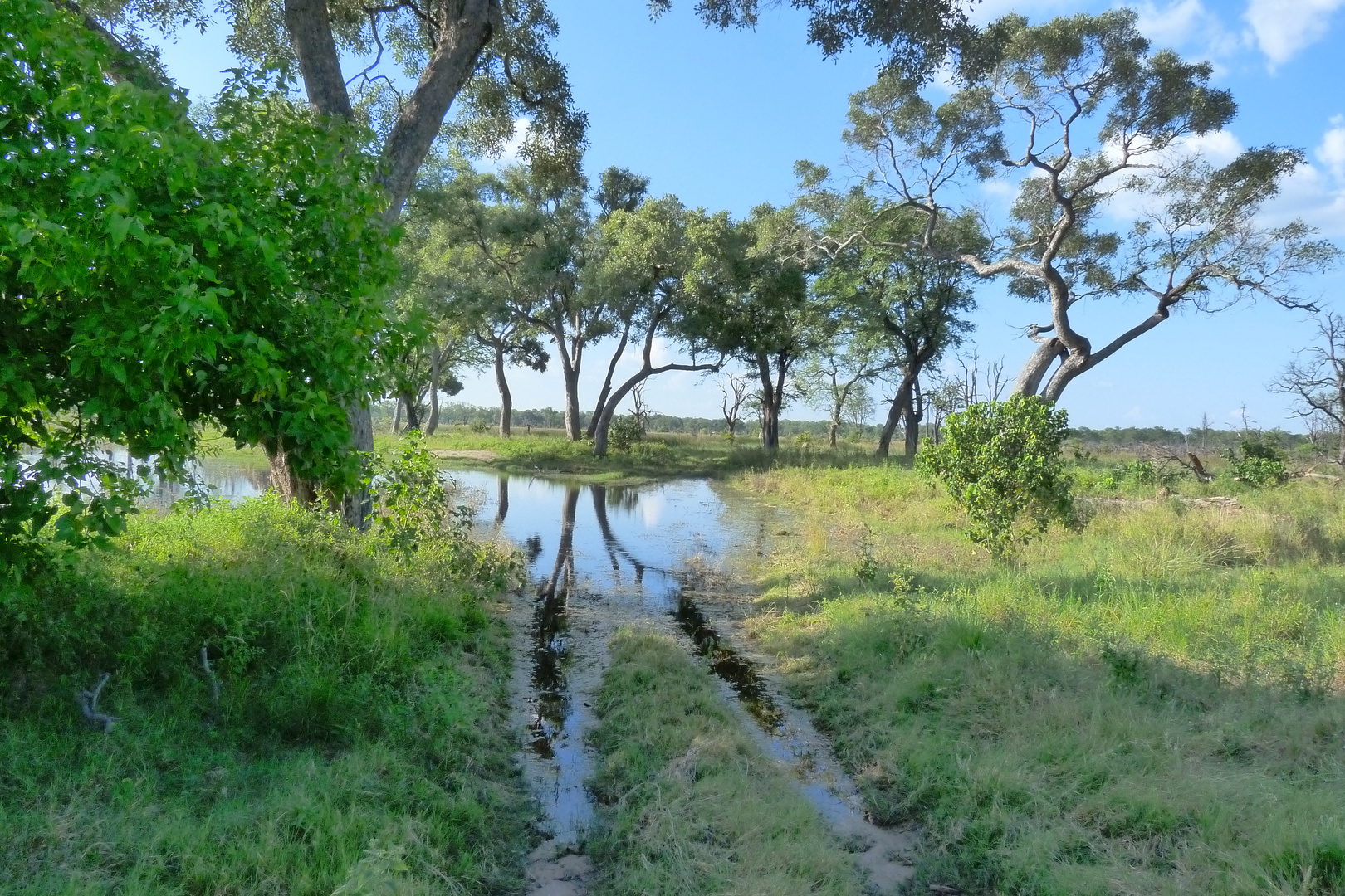 abenteuerliche Wege im Moremi-park im März!