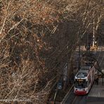 Abenteuerreise im Stadtdschungel