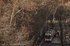 Abenteuerreise im Stadtdschungel