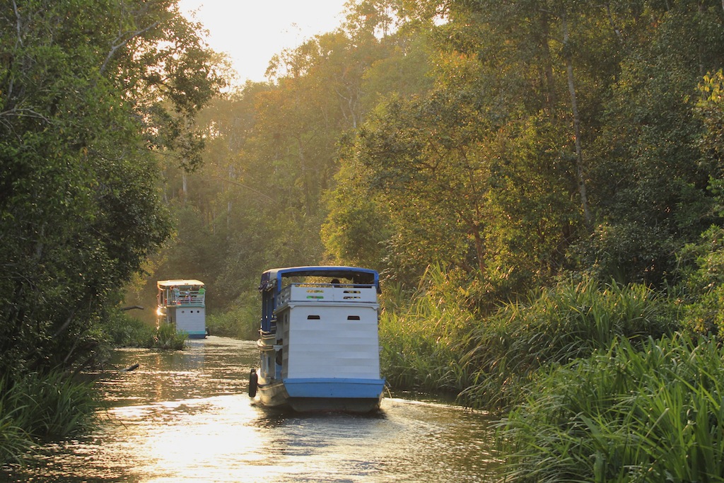 Abenteuerreise nach Borneo Indonesien