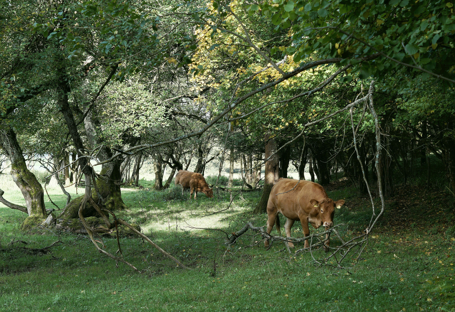 Abenteuerspielplatz