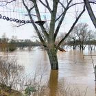 Abenteuerspielplatz am Rhein ...