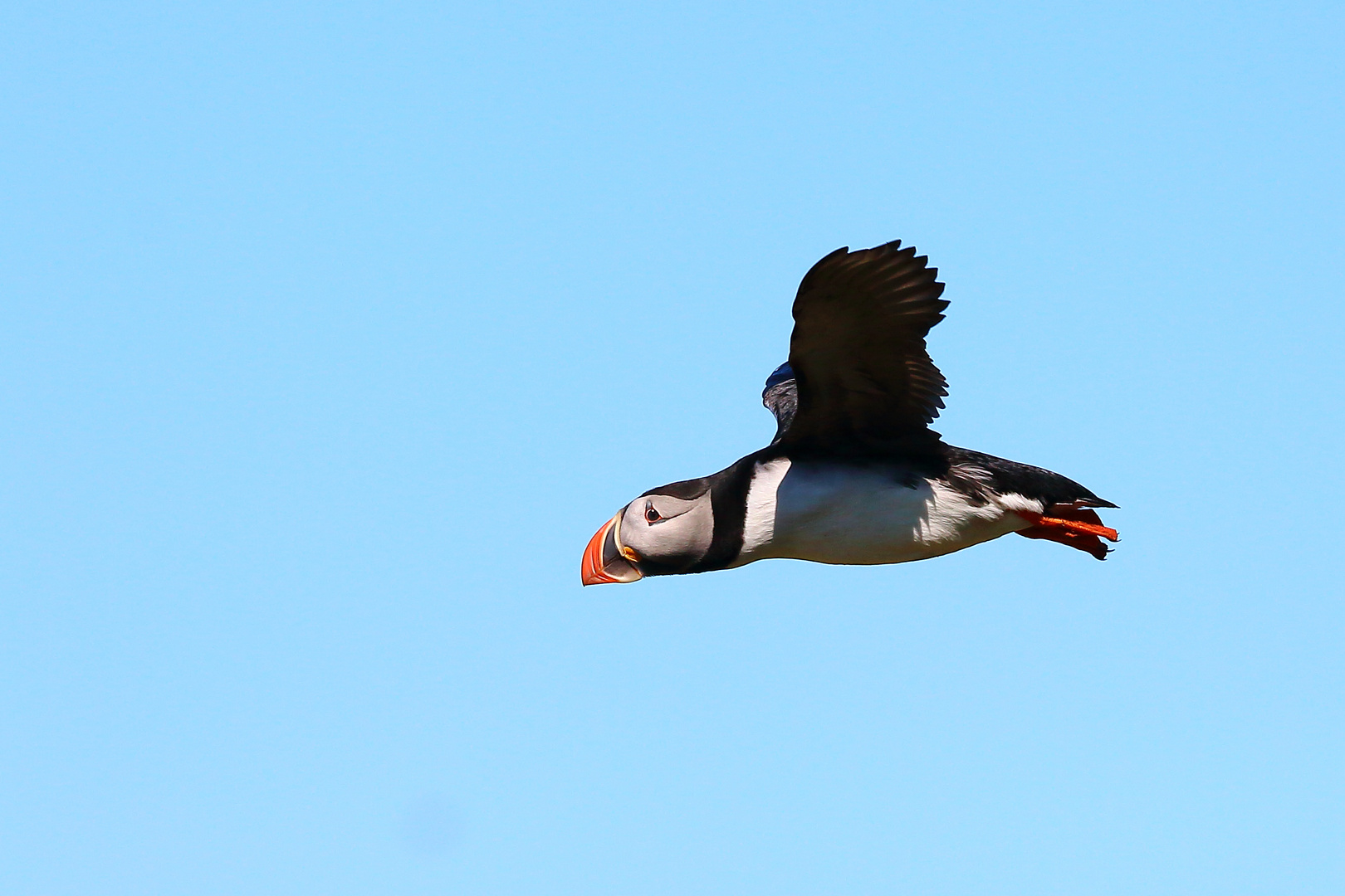 ... aber er fliegt!