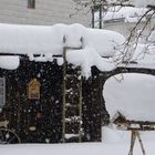 Aber hallo - da müsst ihr Futter nachlegen!