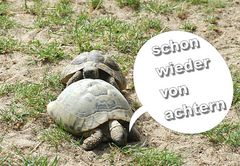 Aber hallooooooooooo.....