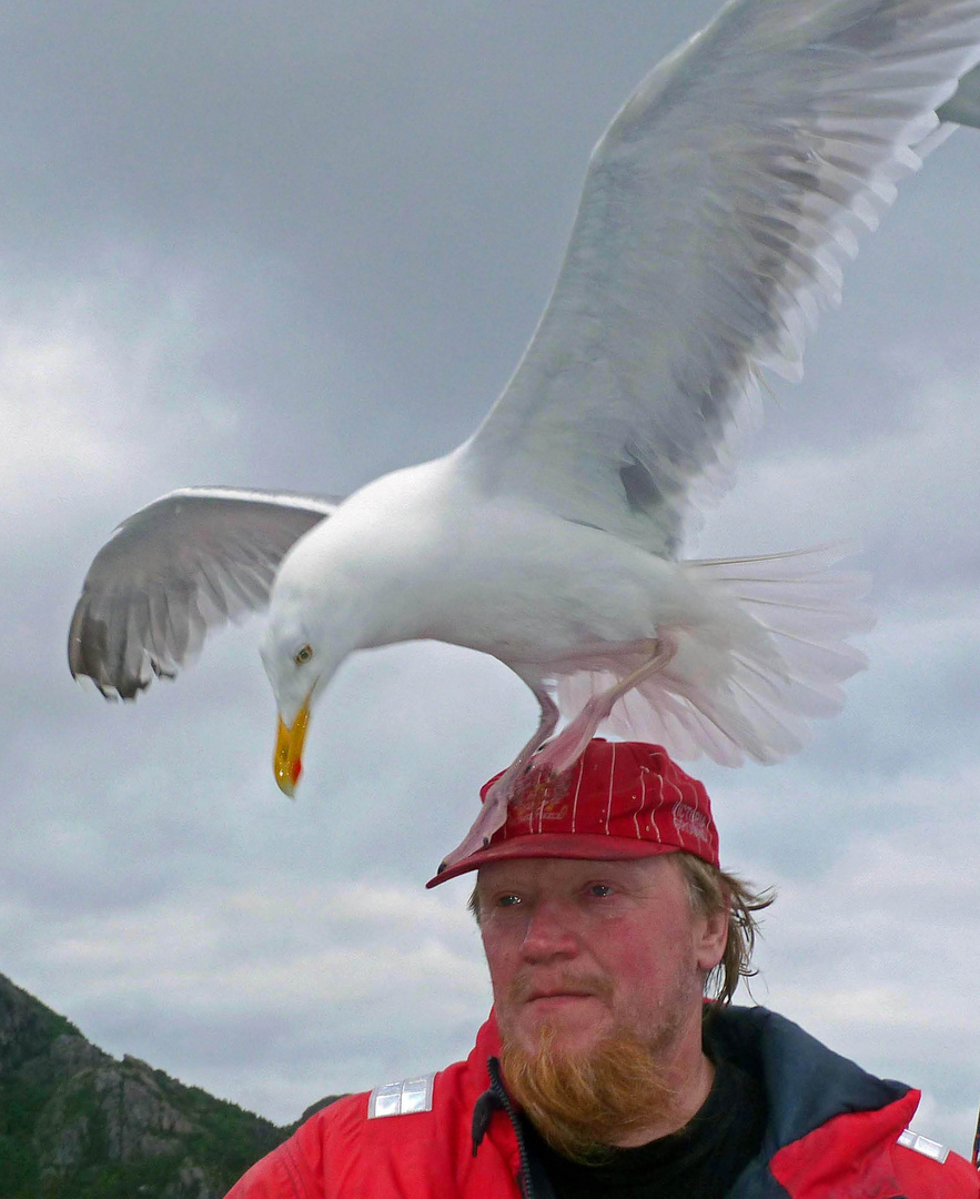 Aber heute nicht kacken das hast du schon mal -  .   L1000136_bearbeitet-1