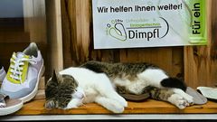 ..."aber im Moment habe ich gerade Pause"!