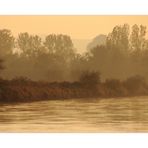 ...aber manchmal ist gelbes Licht... - oder: an der goldenen Weser...