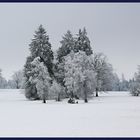 ... aber mit Zuckerguß