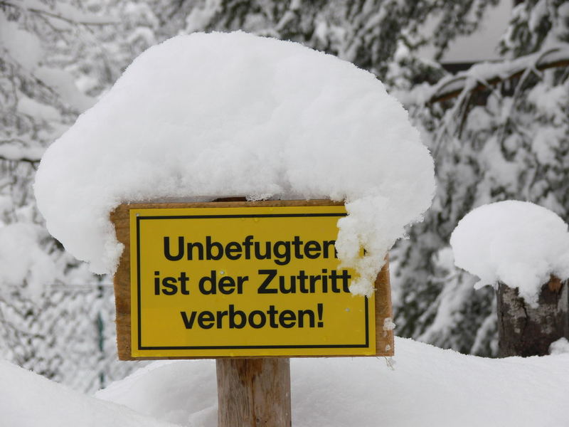 ... aber nicht dem Schnee