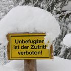 ... aber nicht dem Schnee