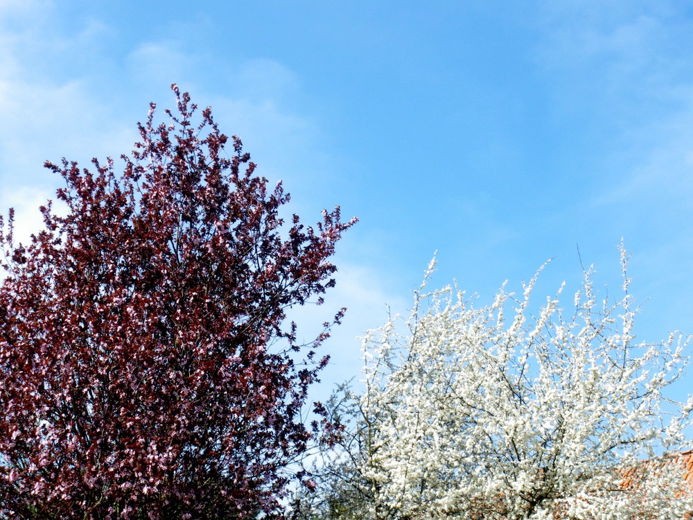 Aber nicht heute. Verschieben wir es auf Morgen,sieh, der Himmel