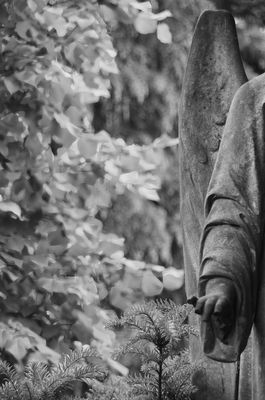 Aber raffiniert geschnitten