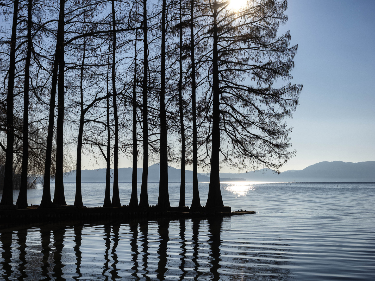 Aberi sul lungolago