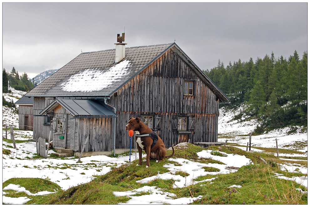 Abermals Tauplitzalm-Fotoshooting....