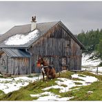 Abermals Tauplitzalm-Fotoshooting....