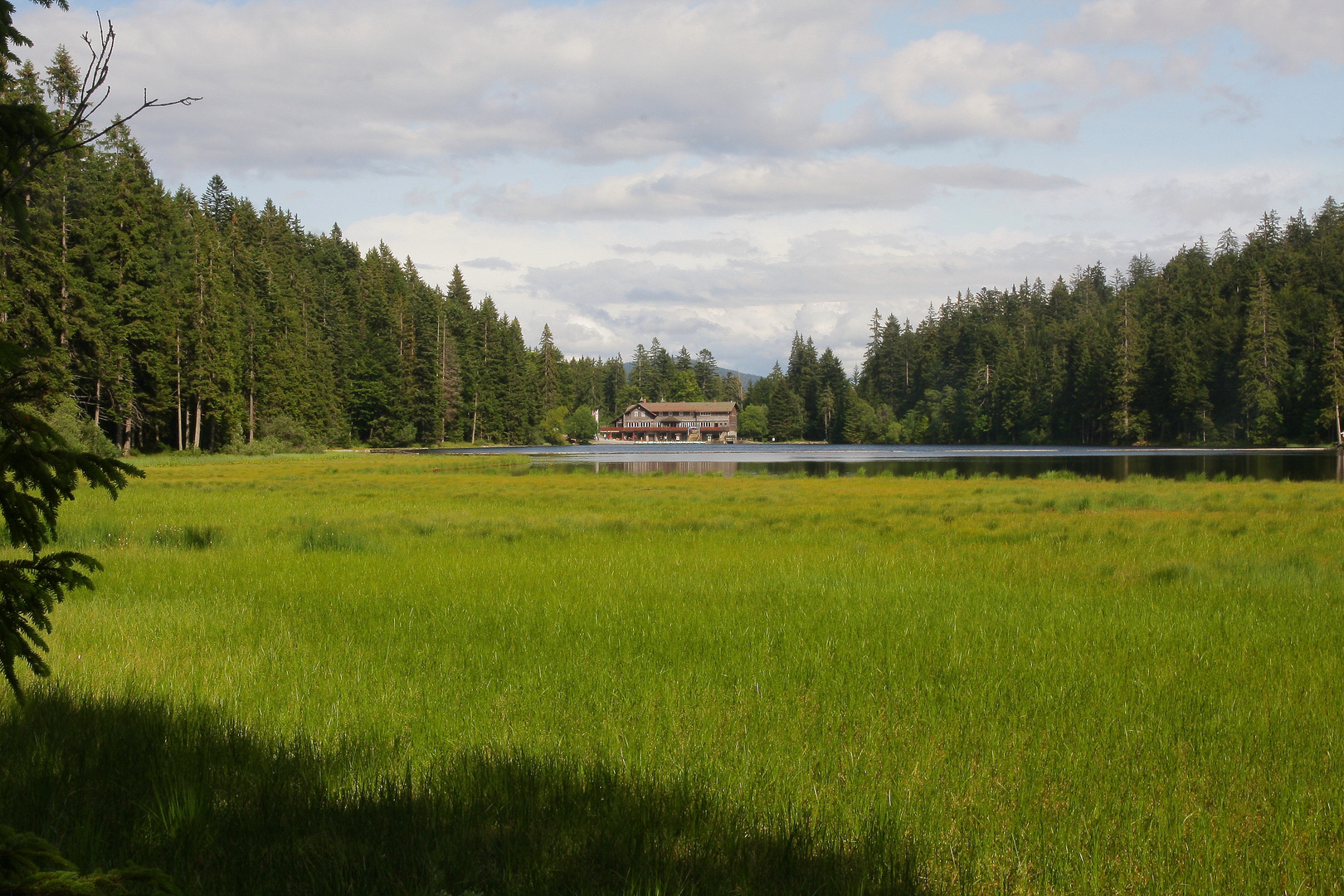 Abersee