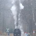 Abfahrt nach Bedarfshalt am Sternhaus Haferfeld