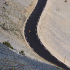 Abfahrt vom Mont Ventoux/Provence