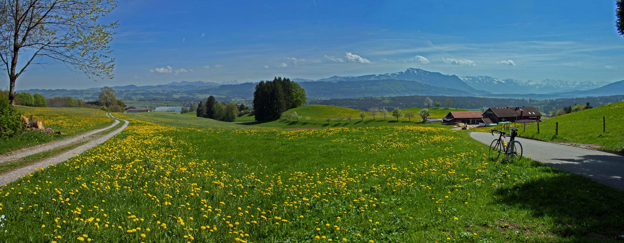 Abfahrt zum Niedersonthofener See mit Alpenblick