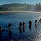 Abfischen im Kögelweiher Allgäu