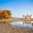 Abfischen in Moritzburg