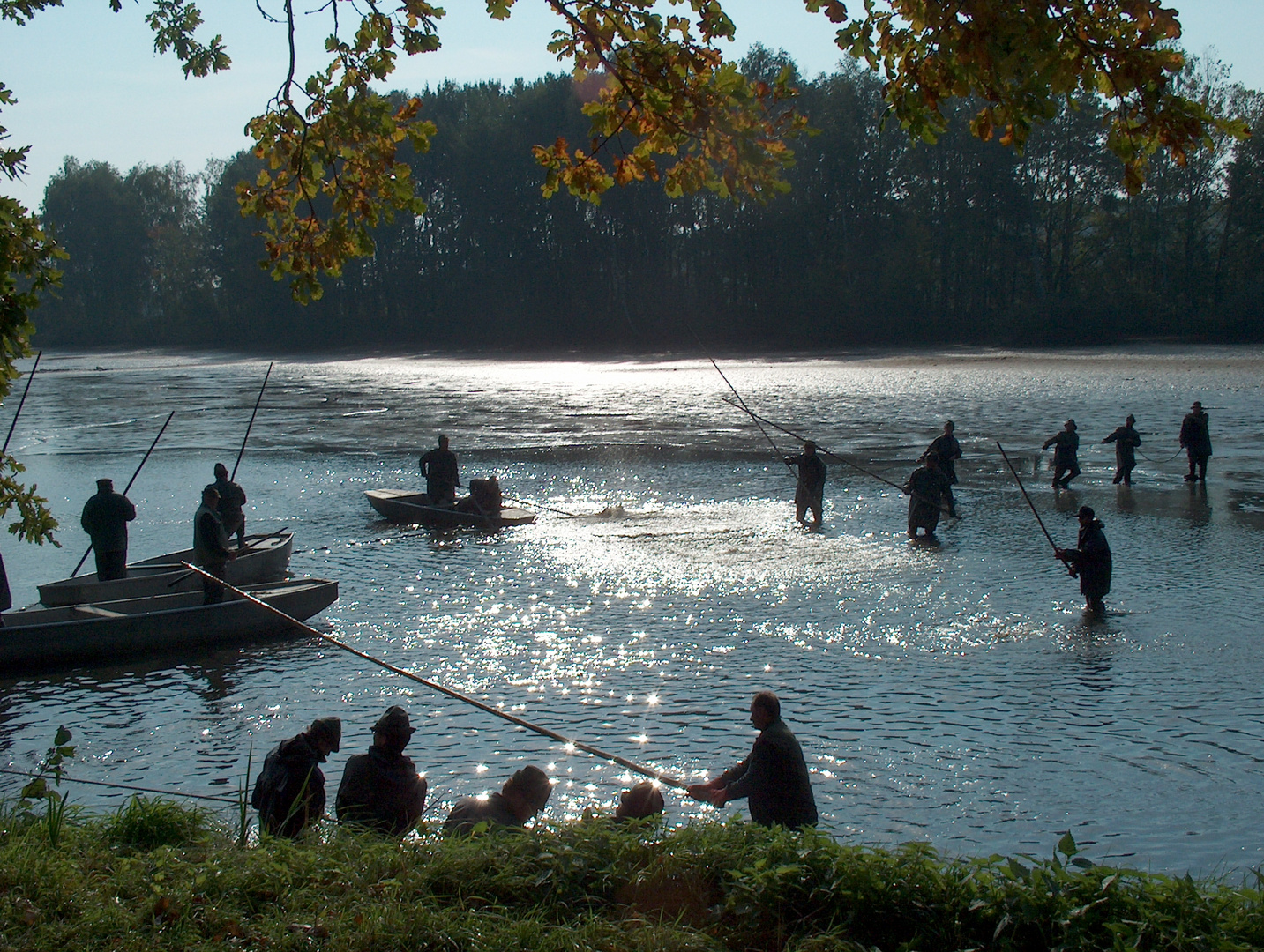 Abfischen in Trebon