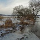 abfließendes Winterhochwasser der Elbe bei Tangermünde