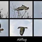 Abflug