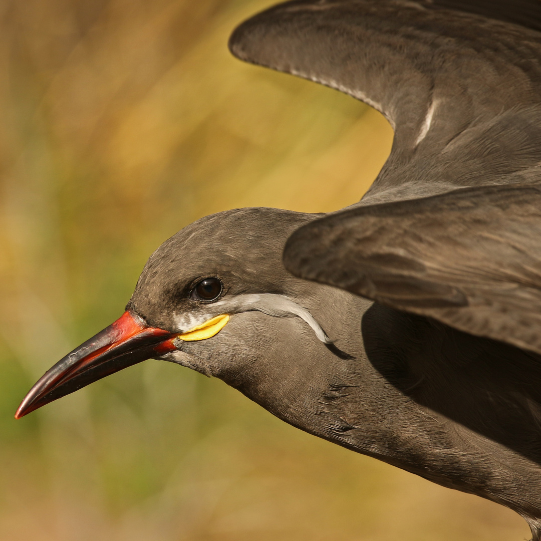 Abflug (2019_03_08_EOS 100D_4190_ji)