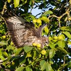 Abflug