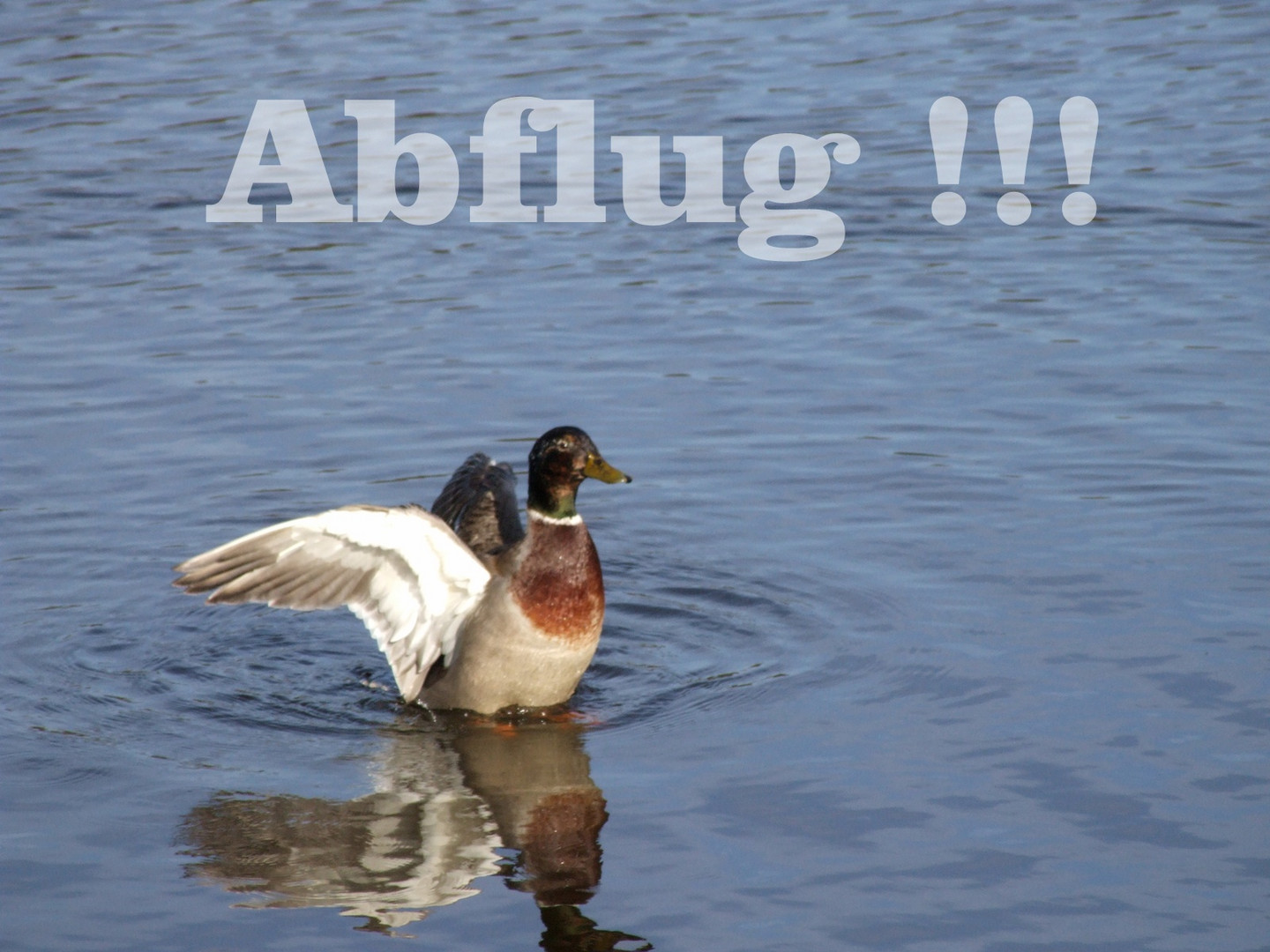 - Abflug -