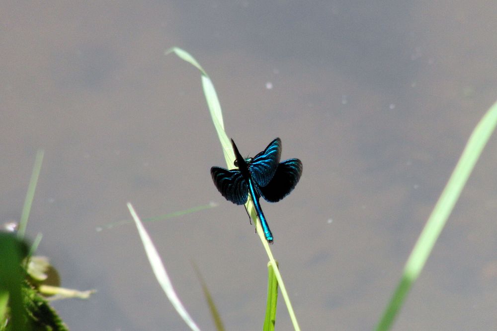 Abflug von Patricia Anna Daum 