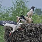 Abflug...