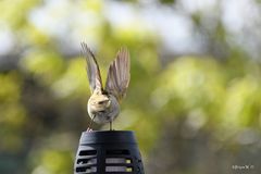 Abflug