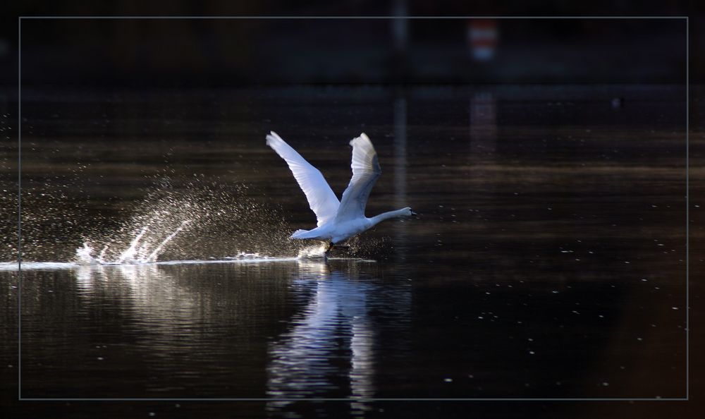 Abflug 8.30 Uhr