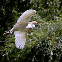 Abflug